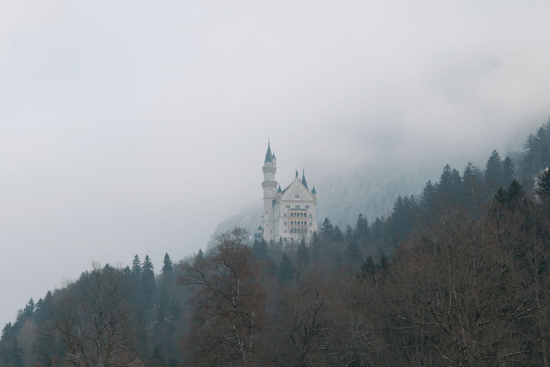 Dramatic view of Neuschwanstein Castle surrounded by winter fog and forested hills in Schwangau, Bavaria.